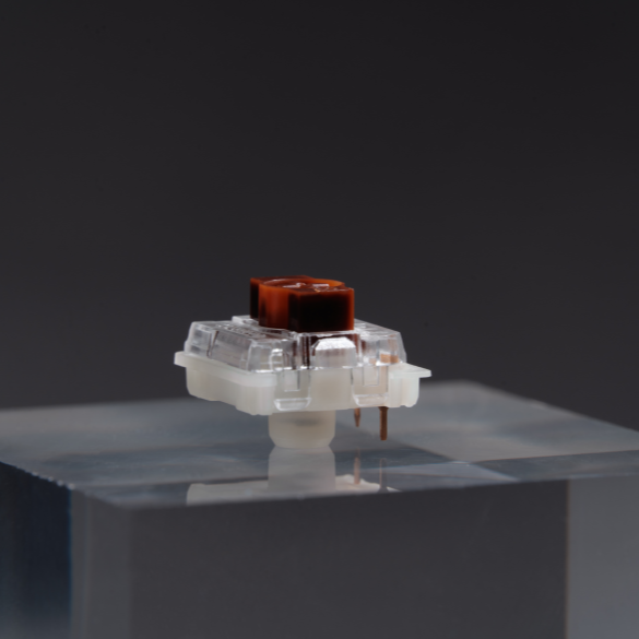 Pic: Gateron Low Profile Brown switches from Coffeekeys.