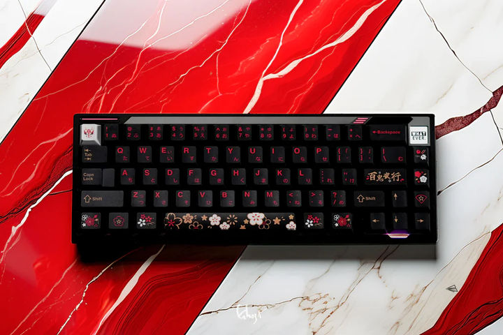 [Group Buy] PAPER 65