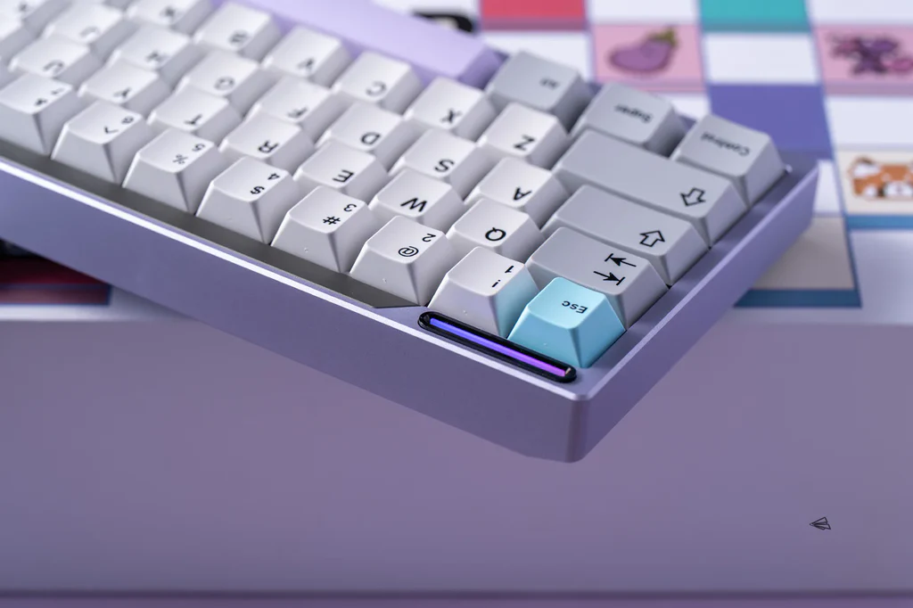 [Group Buy] PAPER 65