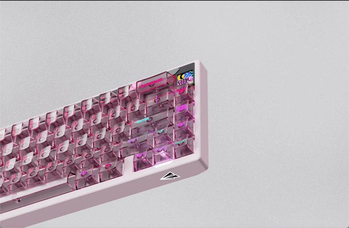 [Group Buy] PAPER 65