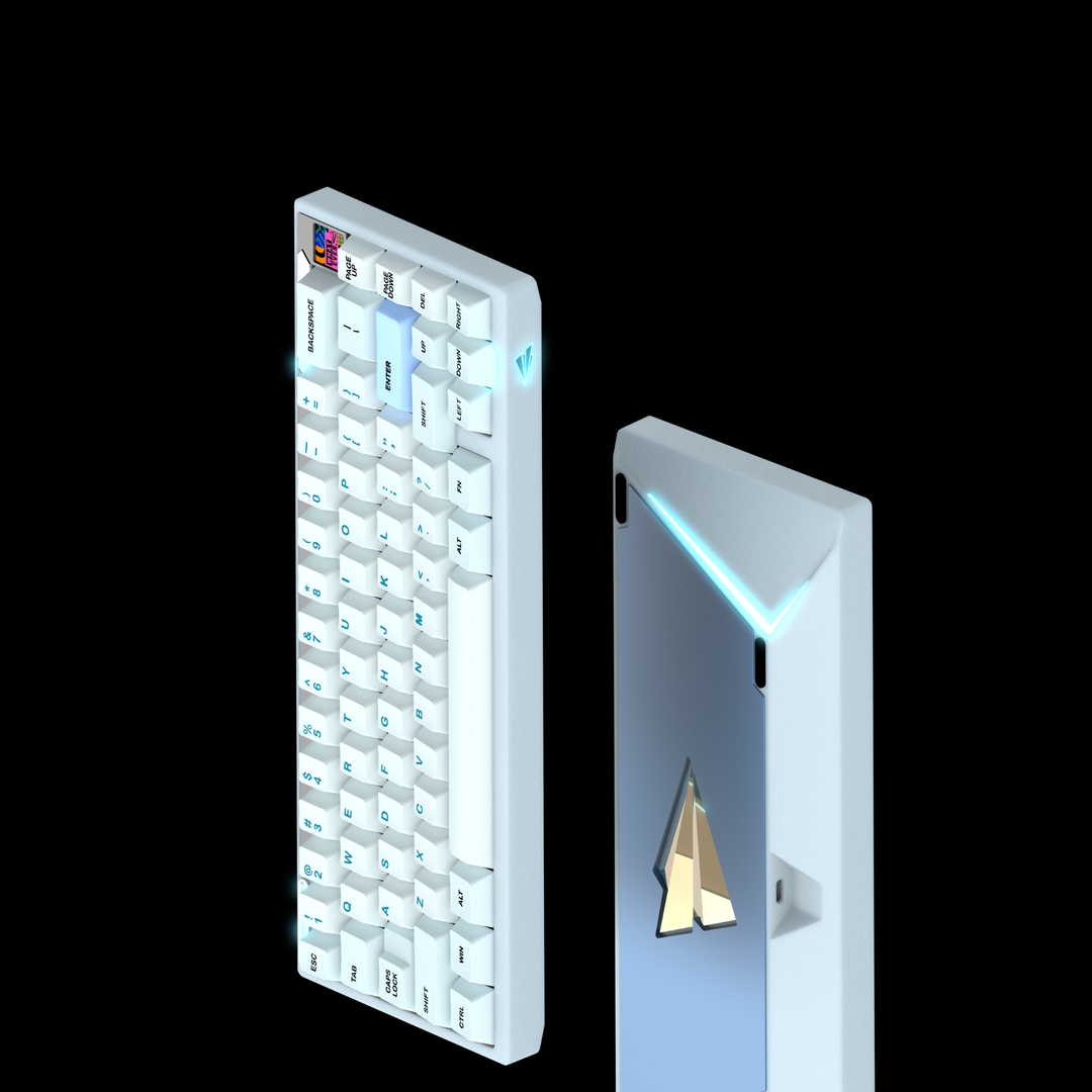 [Group Buy] PAPER 65