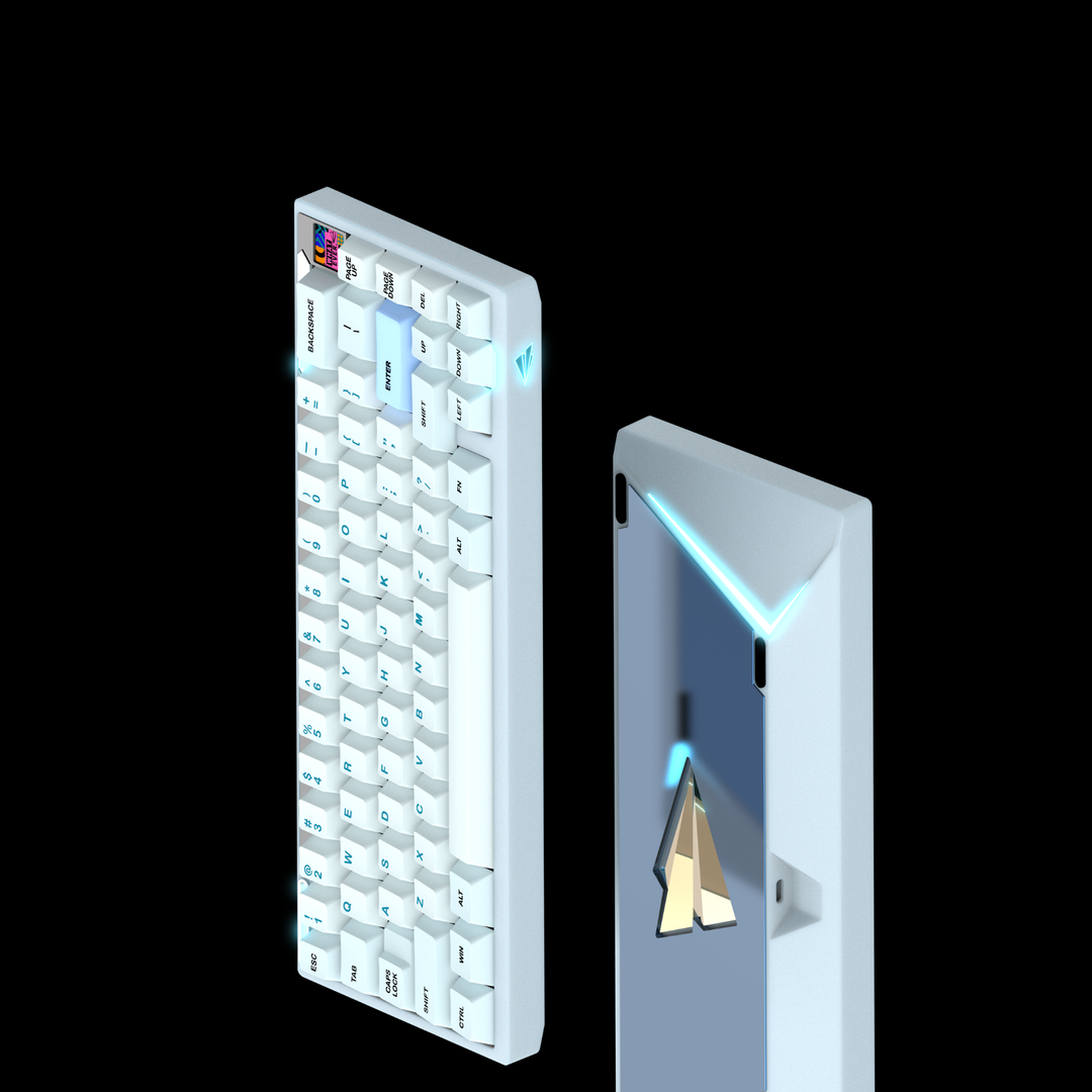 [Group Buy] PAPER 65