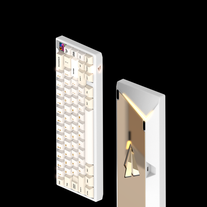 [Group Buy] PAPER 65