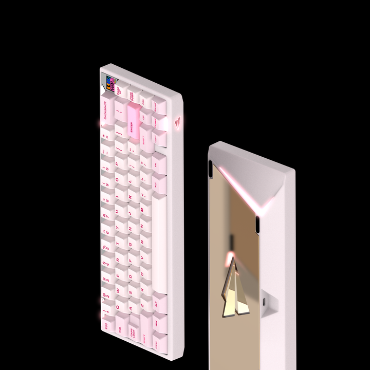 [Group Buy] PAPER 65